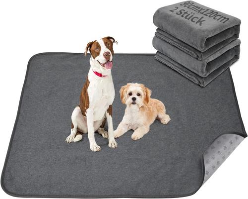 A Set of 2 Puppy Training Mats