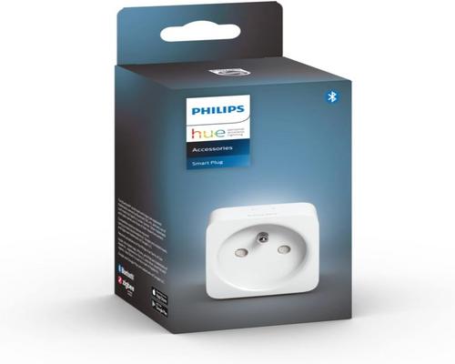 a Philips Hue plug