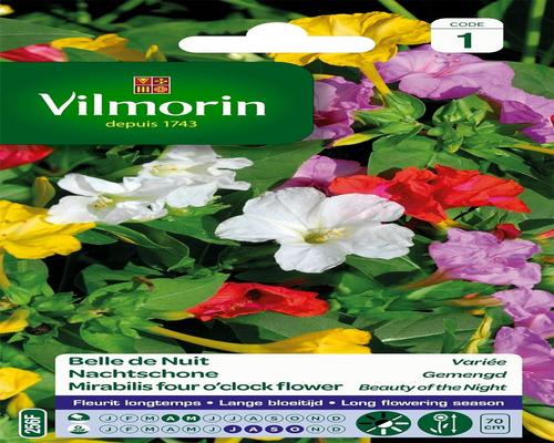 a Batch of Multicolored Flower Seeds Belle De Nuit Vilmorin