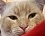 /\dce-an\/Avatar de :/\dce_t\/bribar